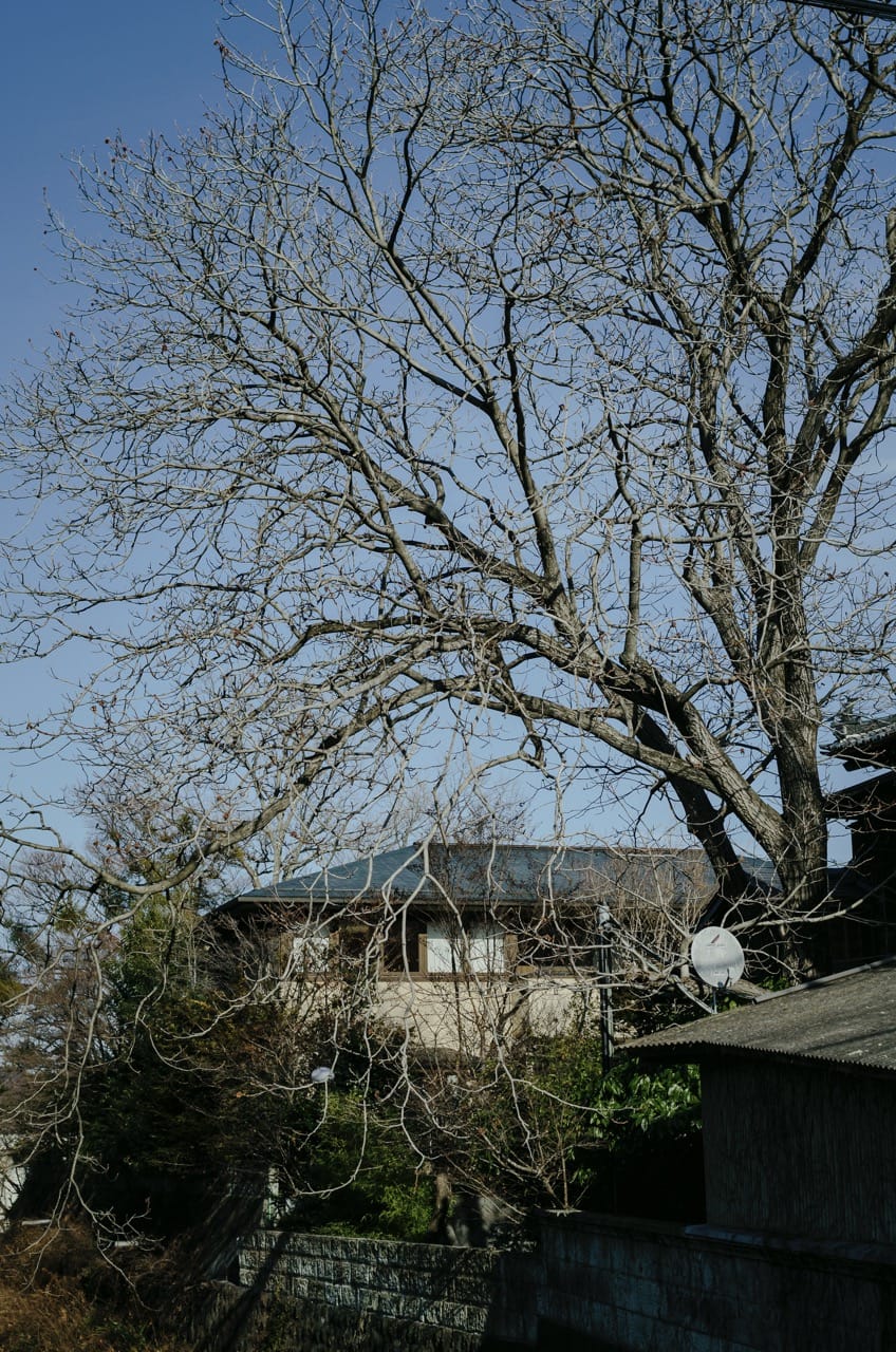 Превью Fuji 2024